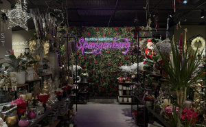 Blumen Gebrüder Spangenberg | Top Blumenläden in Düsseldorf | Magazin | Mr. Düsseldorf | Foto: Mr. Düsseldorf