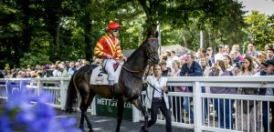 Fortuna Renntag | Mr. Düsseldorf | Düsseldates | Foto: Düsseldorf Galopp