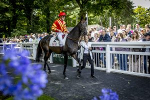 Fortuna Renntag | Mr. Düsseldorf | Düsseldates | Foto: Düsseldorf Galopp
