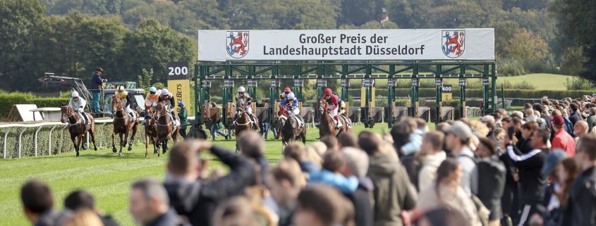 Interntional Race Day | Mr. Düsseldorf | Düsseldates | Foto: Düsseldorf Galopp