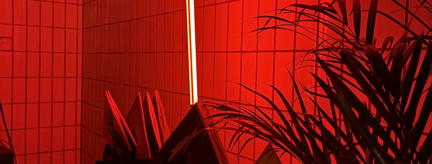 Giselle Bazar | Mr. Düsseldorf | Düsseldates | Foto: Mr. Düsseldorf