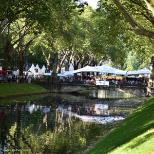 Gourmet Festival | Mr. Düsseldorf | Düsseldates | Foto: Wellfairs GmbH