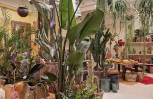 Jubiläumsevent bei The Green Studio | Mr. Düsseldorf | Düsseldates | Foto: The Green Studio