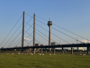 Wein, Liebe & Schützenfest | Mr. Düsseldorf | Düsseldates | Foto: Mr. Düsseldorf