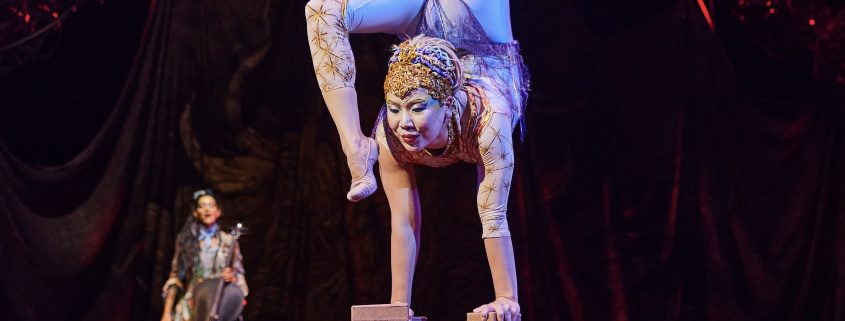 Cirque du Soleil | Mr. Düsseldorf | Düsseldates | Foto: Cirque du Soleil