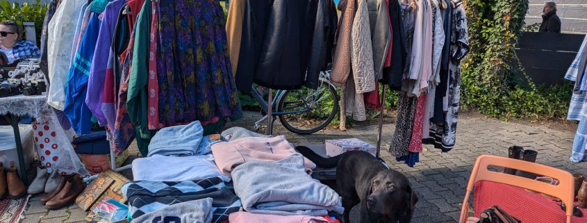 Trödel und Genuss | Mr. Düsseldorf | Düsseldates | Foto: Münchhausen Catering