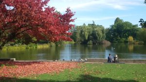 Zoopark | Mr. Düsseldorf | Düsseldates | Foto: Ashish Saxena