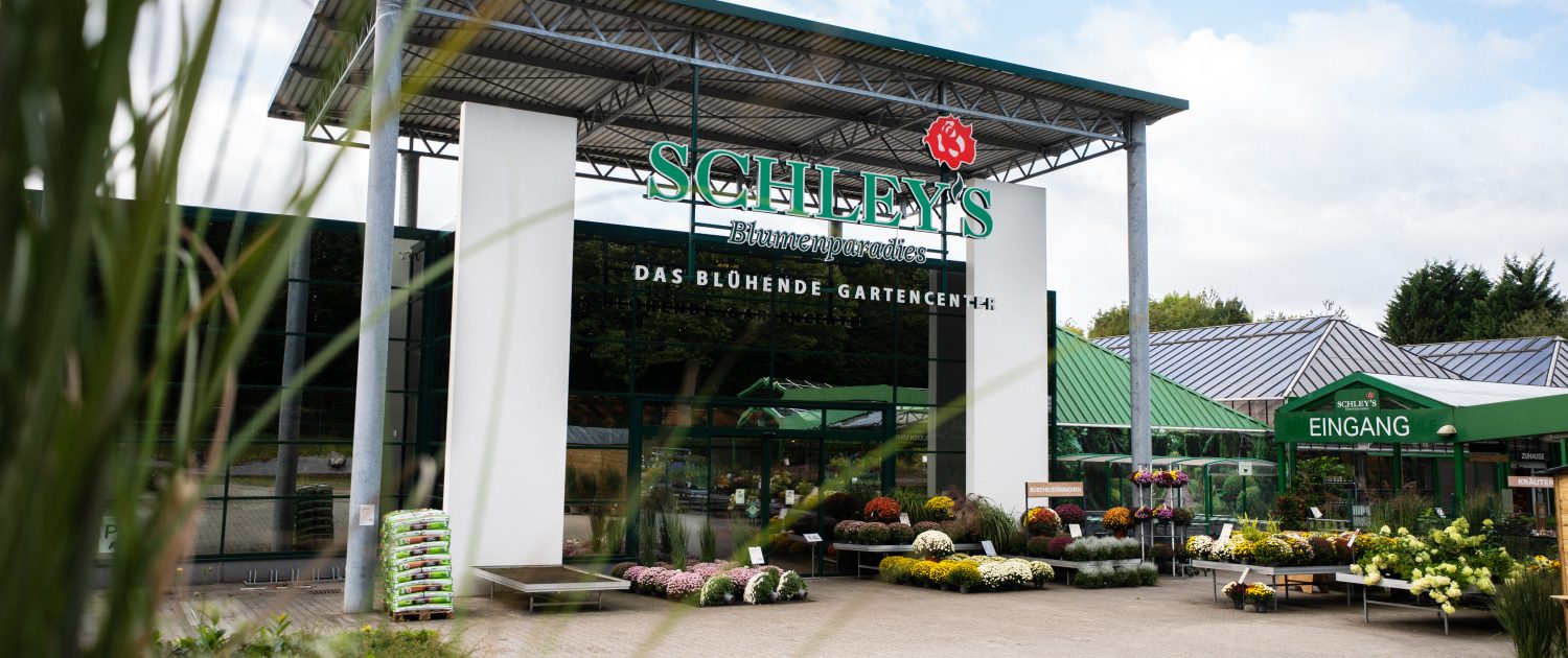 Schley's | Lieblingsladen | Mr. Düsseldorf | Foto: Nico Eifert Schley's | Lieblingsladen | Mr. Düsseldorf | Foto: Nico Eifert