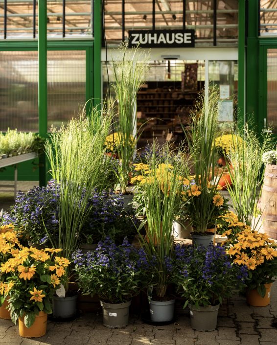 Schley’s | Lieblingsladen | Mr. Düsseldorf | Foto: Nico Eifert Schley's | Lieblingsladen | Mr. Düsseldorf | Foto: Nico Eifert