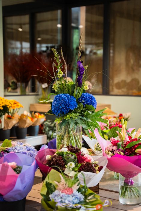 Schley’s | Lieblingsladen | Mr. Düsseldorf | Foto: Nico Eifert Schley's | Lieblingsladen | Mr. Düsseldorf | Foto: Nico Eifert