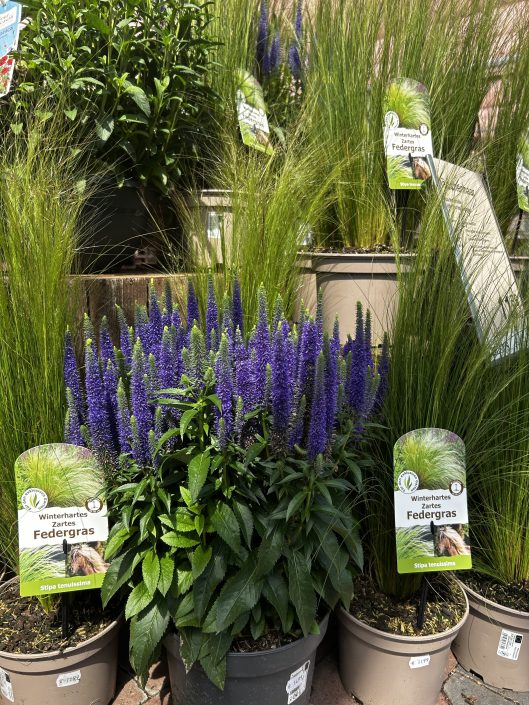 Schley’s | Lieblingsladen | Mr. Düsseldorf | Foto: Schley’s Schley's | Lieblingsladen | Mr. Düsseldorf | Foto: Schley's