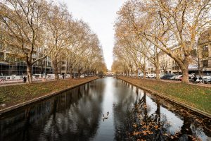 Königsallee Düsseldorf: Die besten Spots | Mr. Düsseldorf | Foto: Nico Eifert