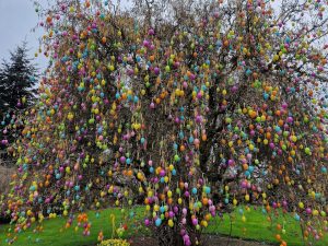 Getrudenhof Osterpark | Topliste Ostern | Topliste | Mr. Düsseldorf | Foto: Getrudenhof Osterpark