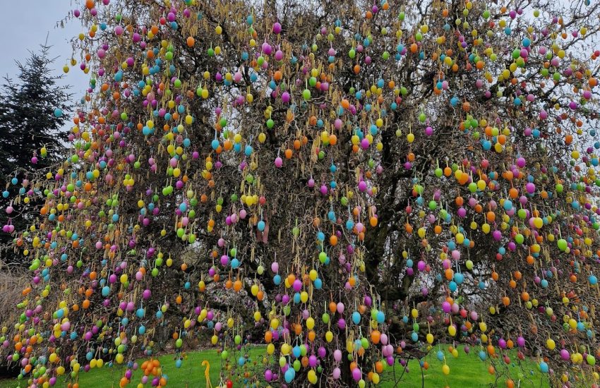 Getrudenhof Osterpark | Topliste Ostern | Topliste | Mr. Düsseldorf | Foto: Getrudenhof Osterpark