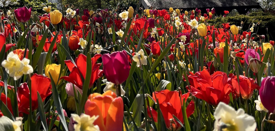 Ostern in Düsseldorf | Topliste Ostern | Topliste | Mr. Düsseldorf | Foto: Mr. Düsseldorf