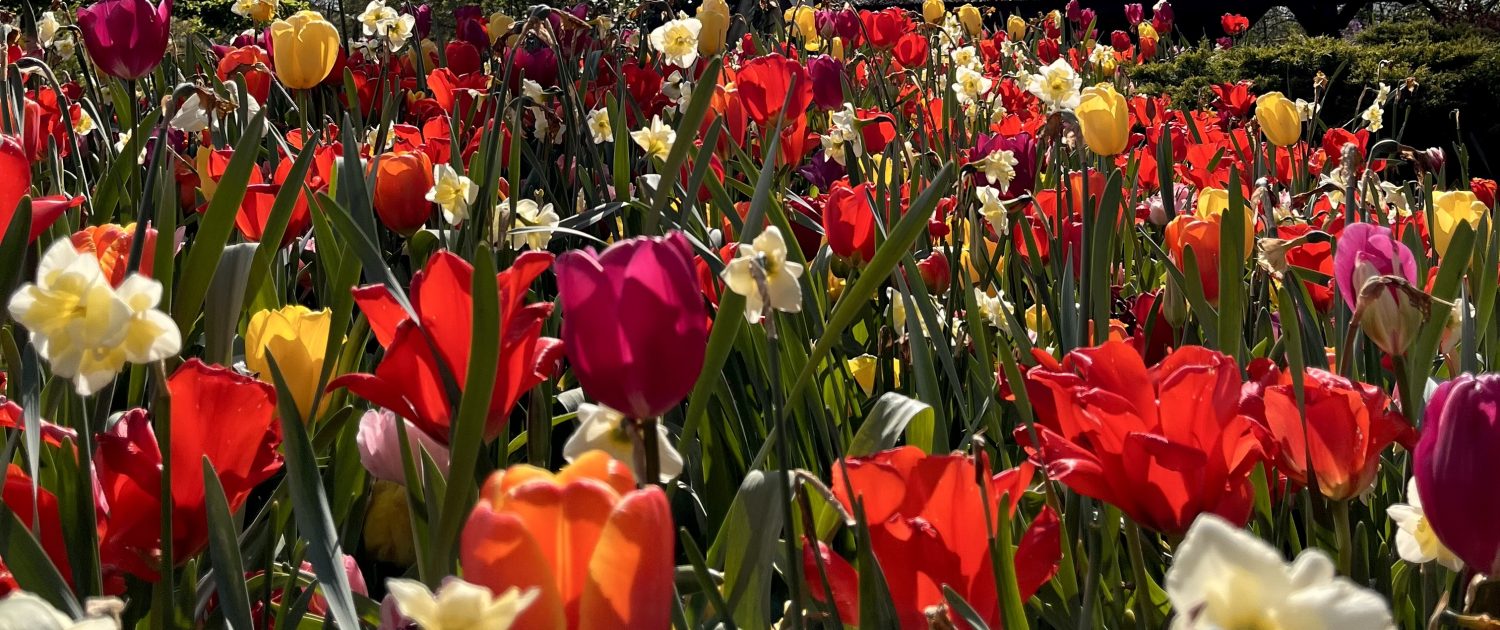 Ostern in Düsseldorf | Topliste Ostern | Topliste | Mr. Düsseldorf | Foto: Mr. Düsseldorf
