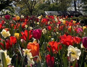 Ostern in Düsseldorf | Topliste Ostern | Topliste | Mr. Düsseldorf | Foto: Mr. Düsseldorf