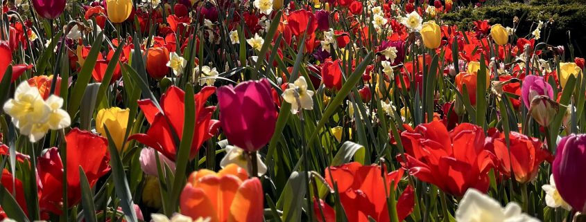Ostern in Düsseldorf | Topliste Ostern | Topliste | Mr. Düsseldorf | Foto: Mr. Düsseldorf