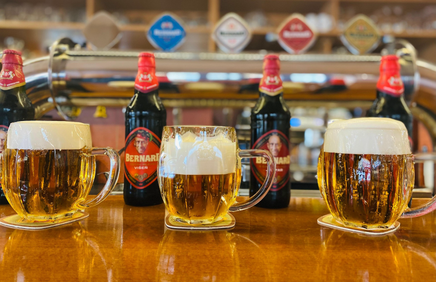 Bier | Top Spots in Düsseldorf Benrath | Mr.Düsseldorf | Topliste | Foto: Pixaby