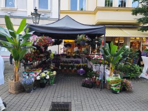 Benrather Maimarkt | Top Spots in Düsseldorf Benrath | Mr.Düsseldorf | Topliste | Foto: Benrather Maimarkt