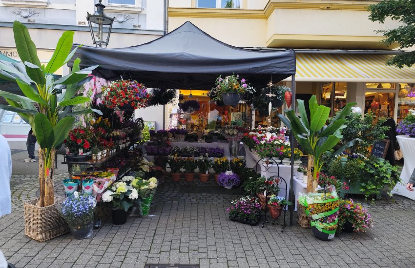 Benrather Maimarkt | Top Spots in Düsseldorf Benrath | Mr.Düsseldorf | Topliste | Foto: Benrather Maimarkt