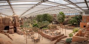 Burgers‘ Zoo Arnhem | Top Tagesausflüge Holland | Magazin | Mr. Düsseldorf | Foto: Burgers´ Zoo