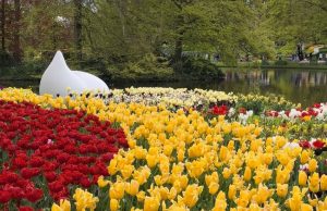 Keukenhof | Top Tagesausflüge Holland | Magazin | Mr. Düsseldorf | Foto: Mr. Düsseldorf