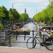 Amsterdam Niederlande | Top Tagesausflüge Holland | Magazin | Mr. Düsseldorf | Foto: Unsplash Callum Parker