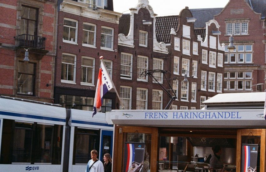 Heringsfest in Holland | Top Tagesausflüge Holland | Magazin | Mr. Düsseldorf | Foto: Unsplash Maryna Nikolaieva